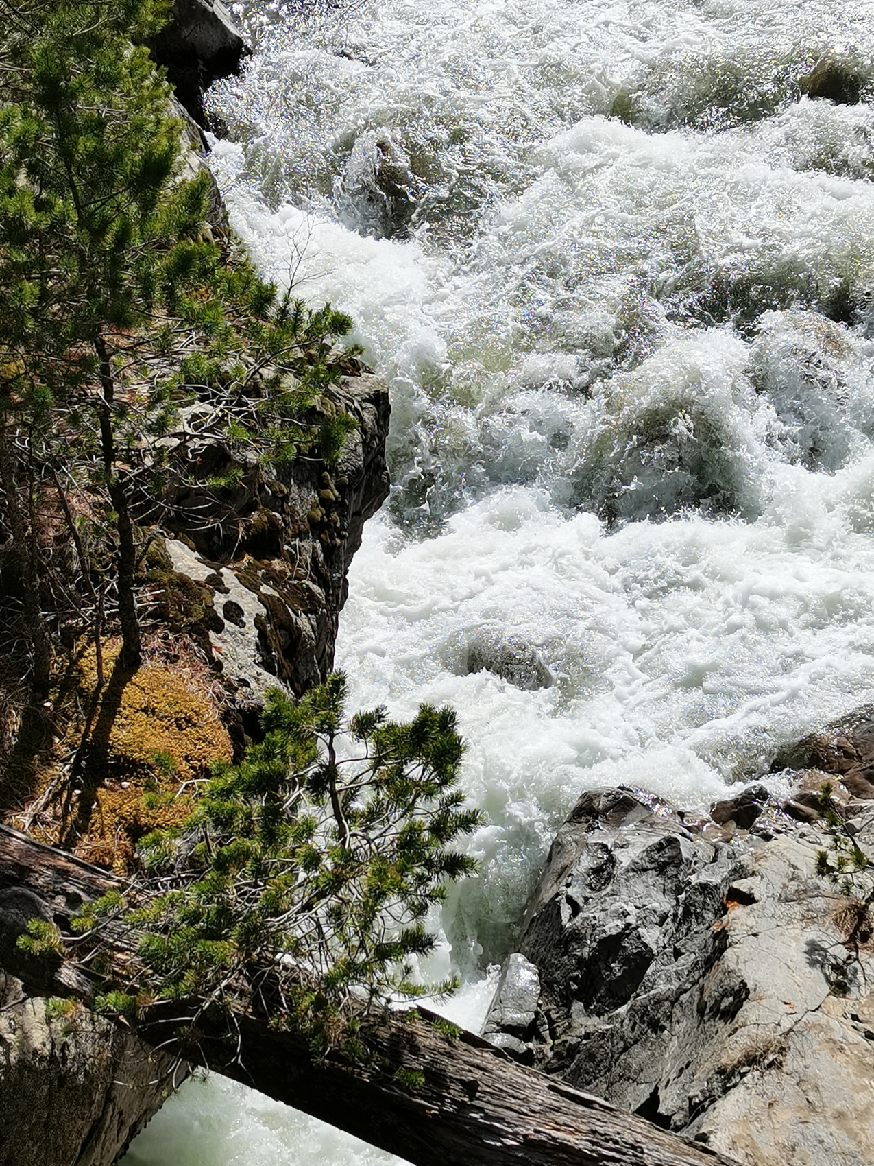 Весна на Кавказе (поход из Теберды в Архыз) (6/32)
