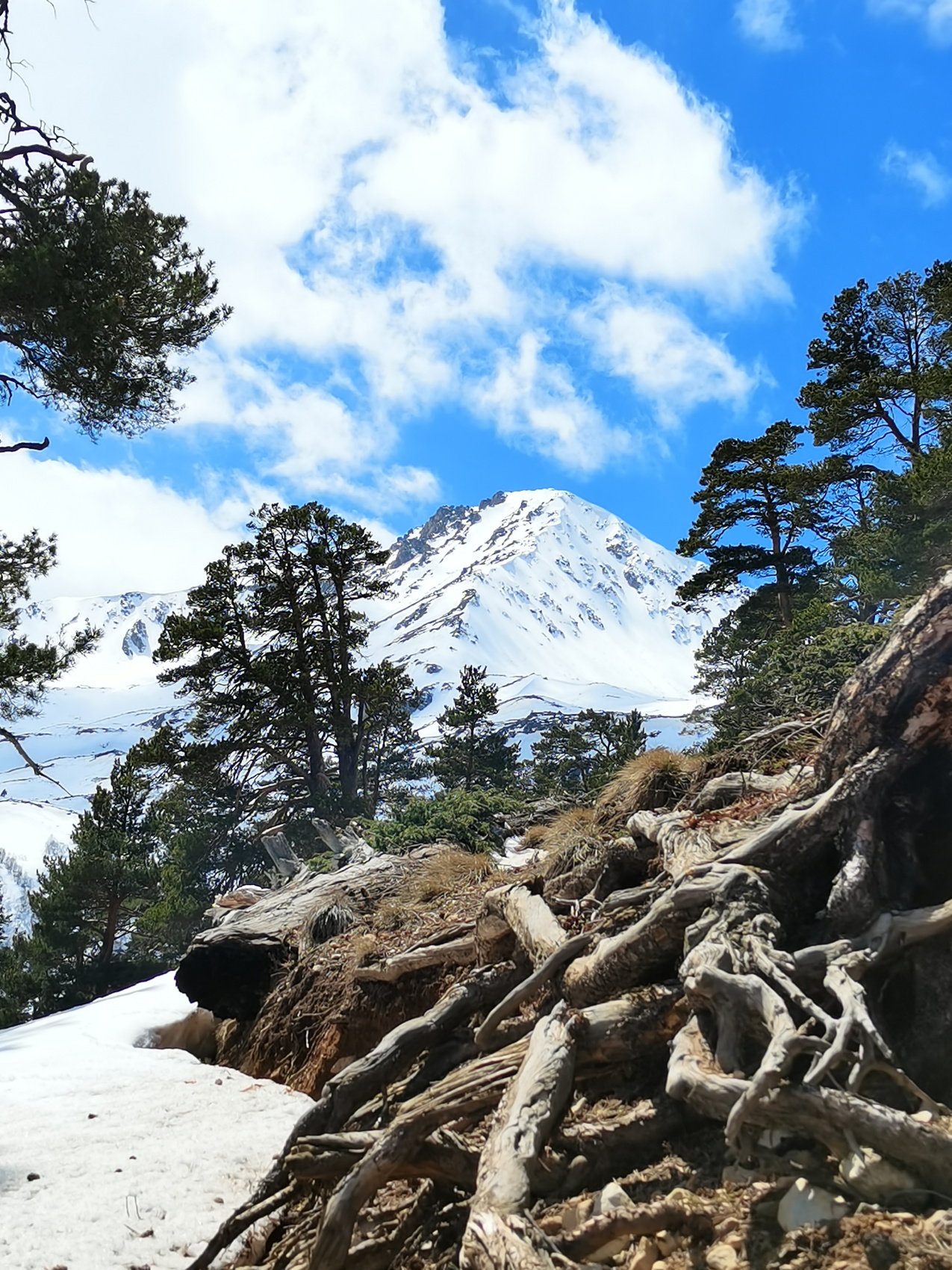Весна на Кавказе (поход из Теберды в Архыз) (4/32)