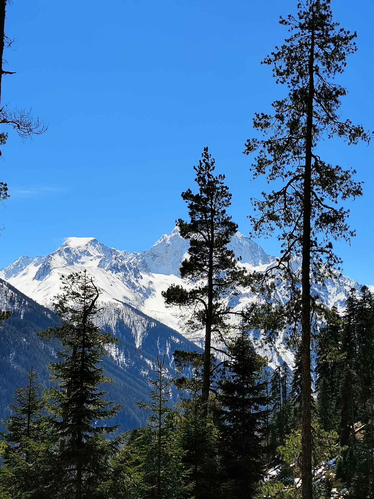 Весна на Кавказе (поход из Теберды в Архыз) (5/32)