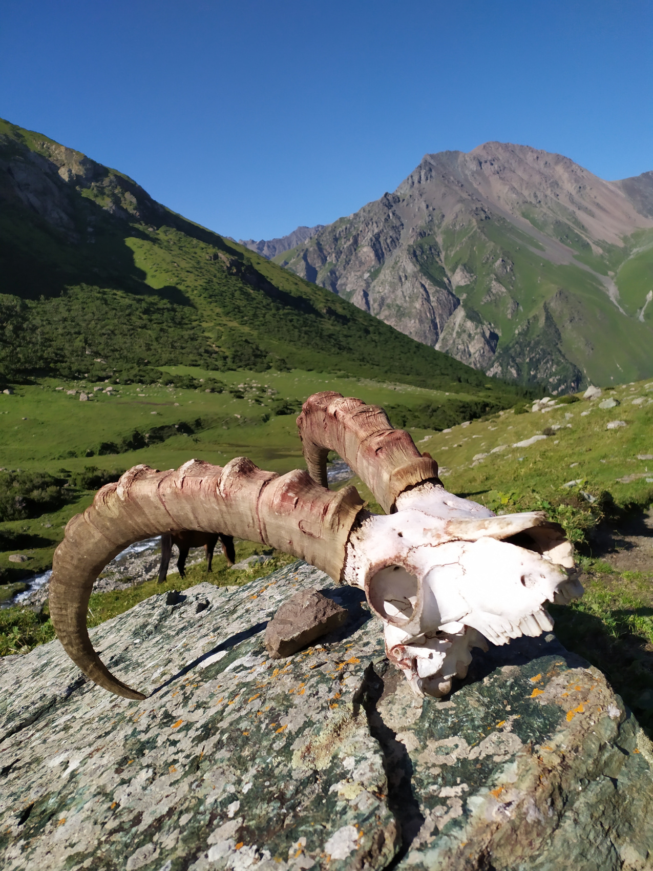 Тянь-Шань: Небесные горы Киргизии (5/14)