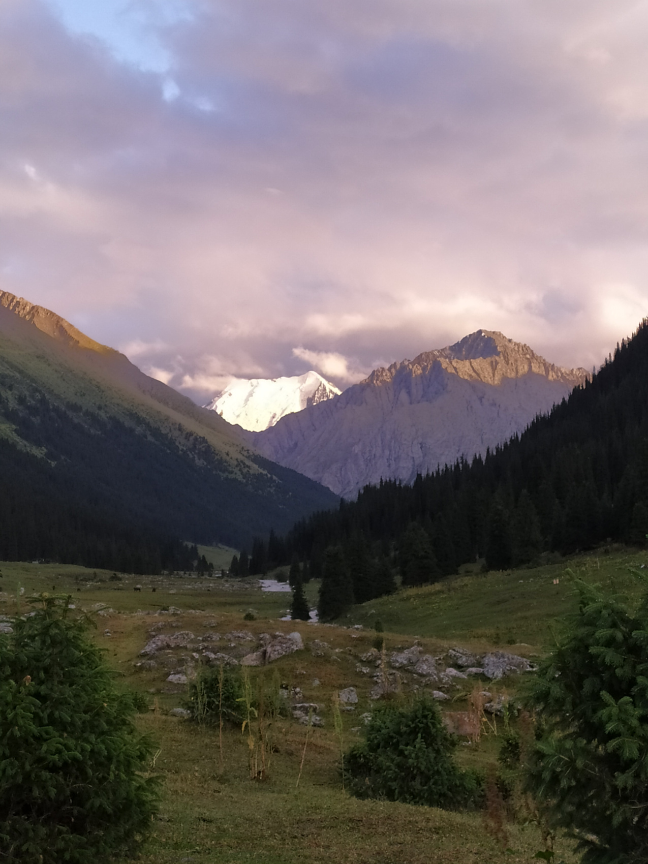 Тянь-Шань: Небесные горы Киргизии (8/14)