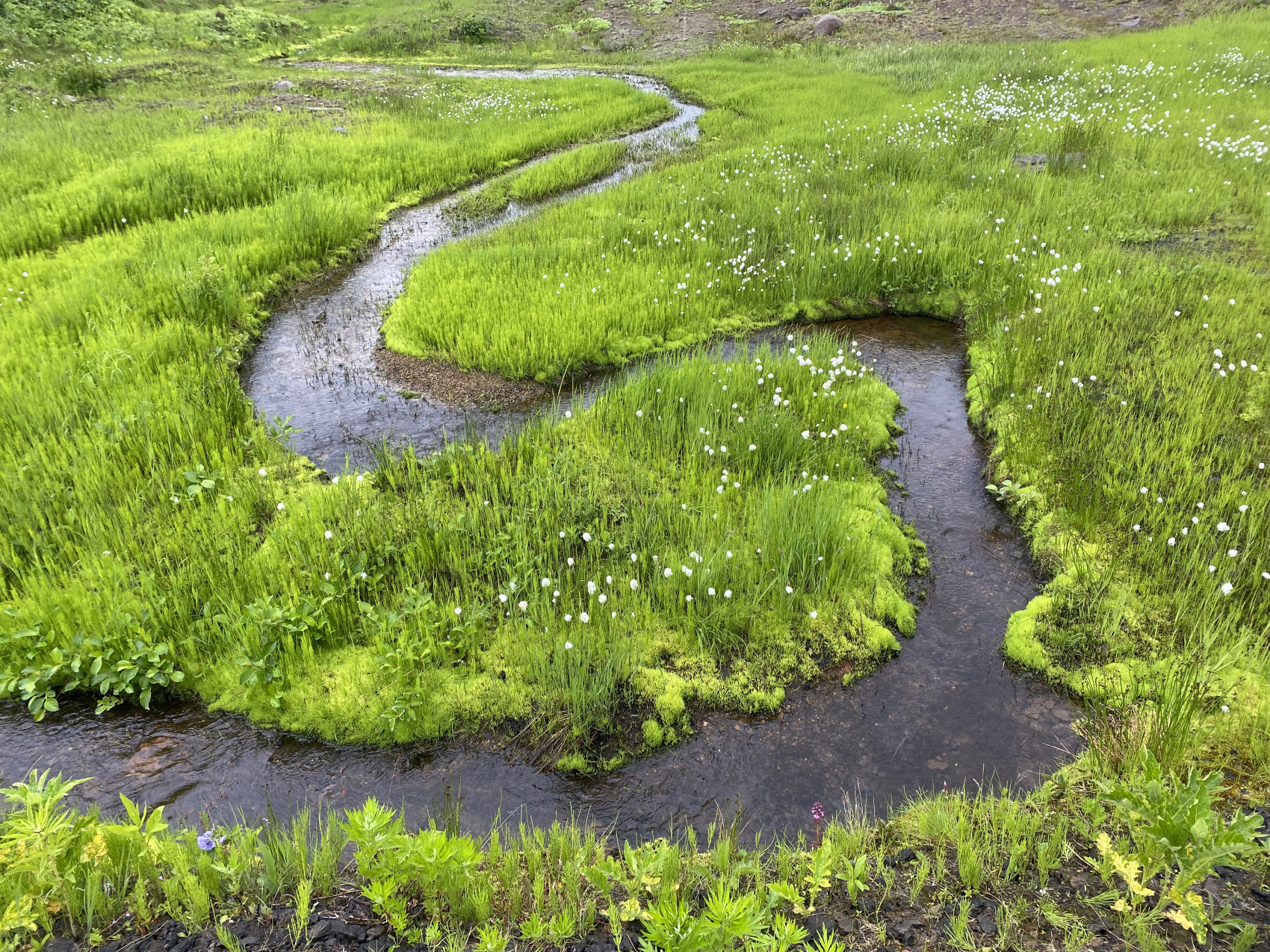 Камчатка Классик (июль-сентябрь, 3-6 участников) (9/37)