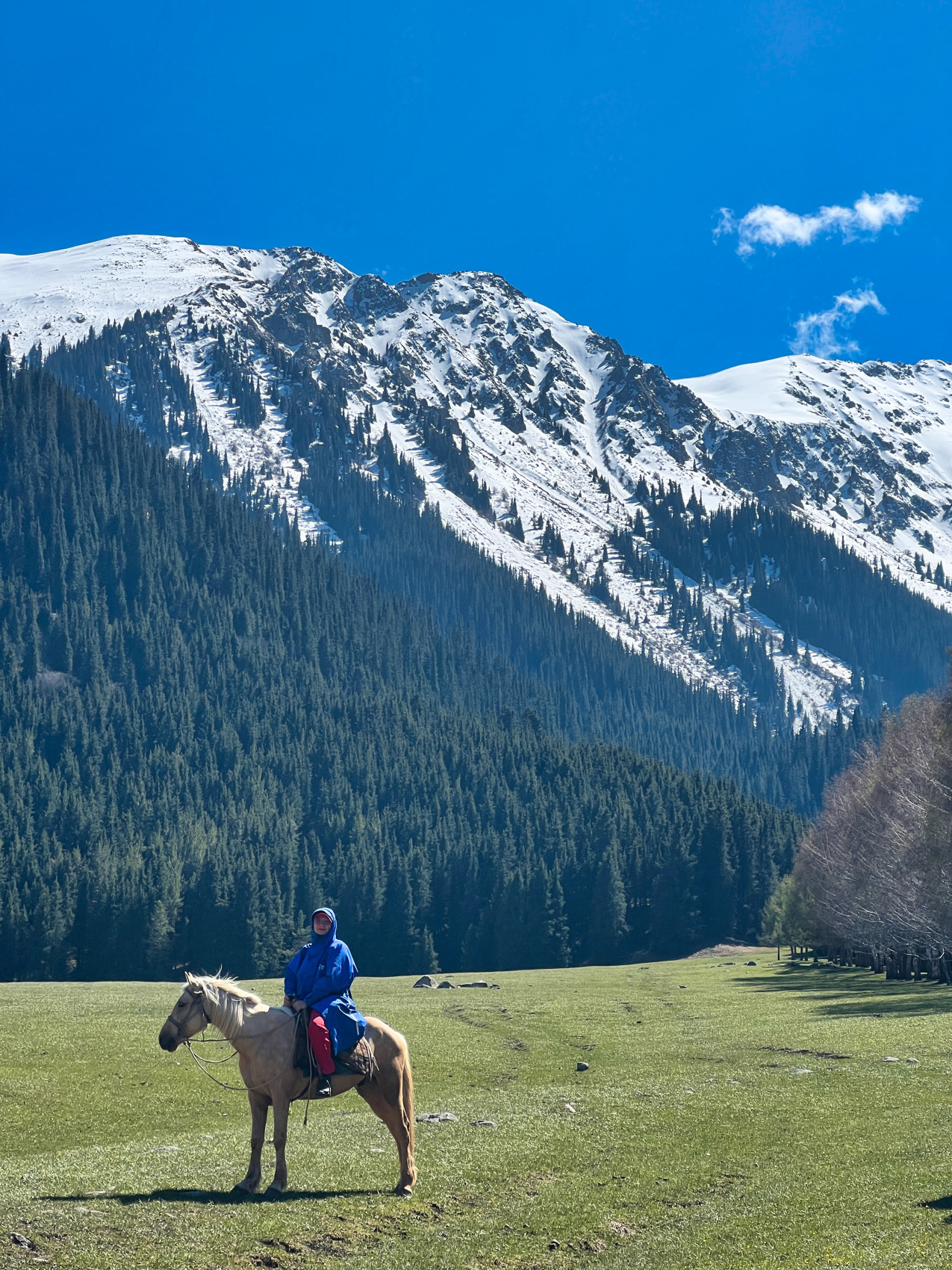 Киргизия на «All Inclusive»: небесные горы и озеро Иссык-Куль  (45/117)