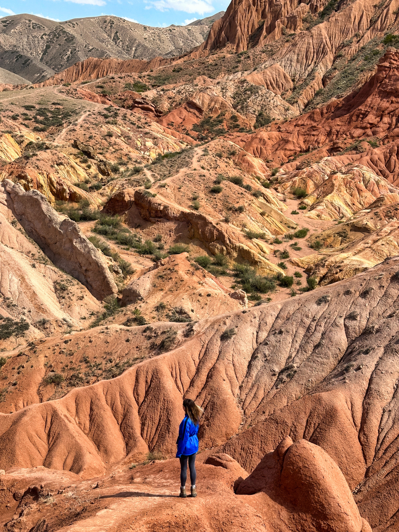 Киргизия на «All Inclusive»: небесные горы и озеро Иссык-Куль  (66/117)