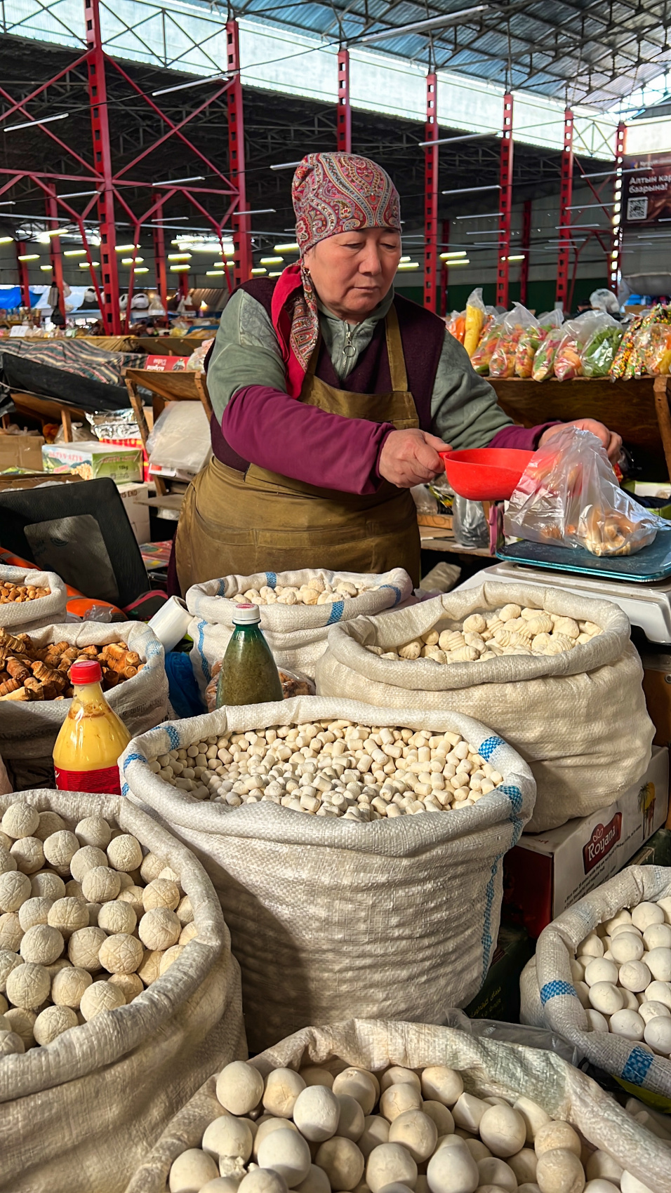 Киргизия на «All Inclusive»: небесные горы и озеро Иссык-Куль  (27/117)