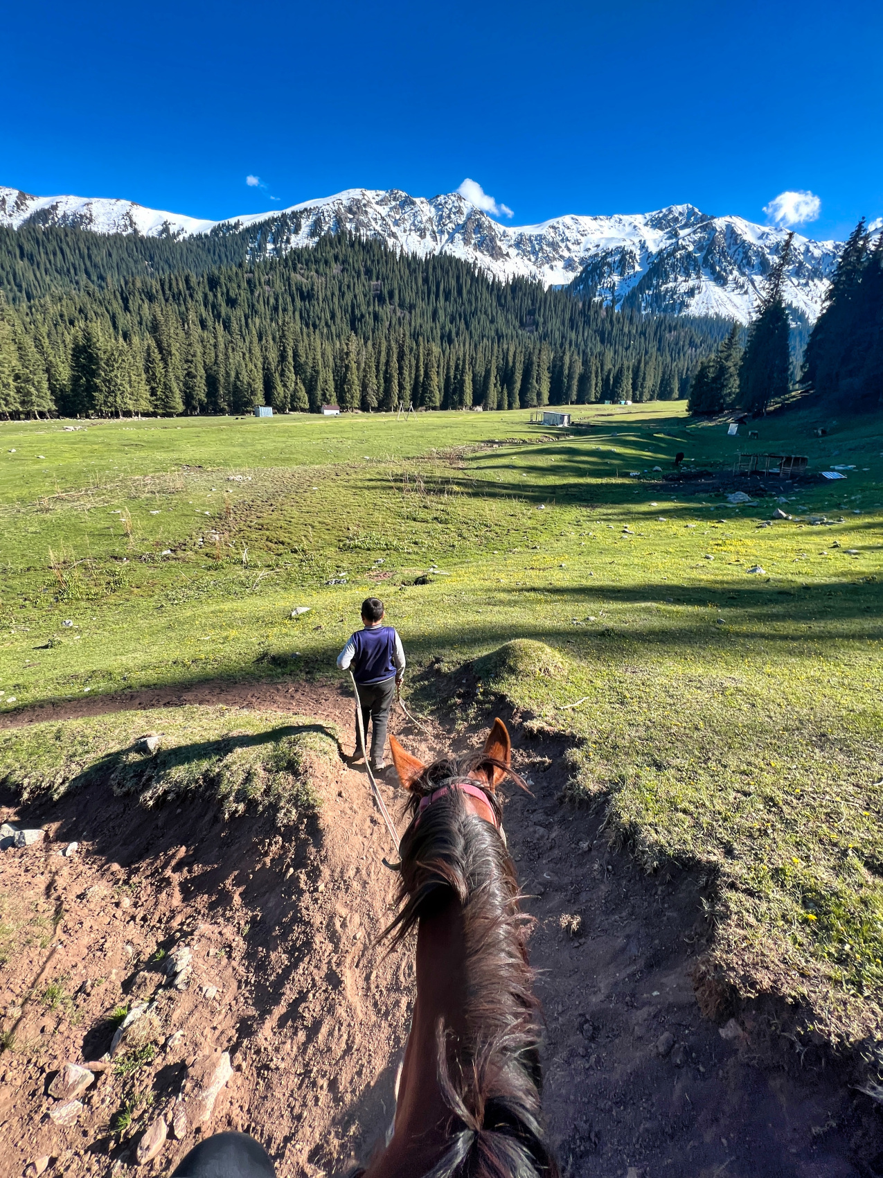 Киргизия на «All Inclusive»: небесные горы и озеро Иссык-Куль  (51/117)