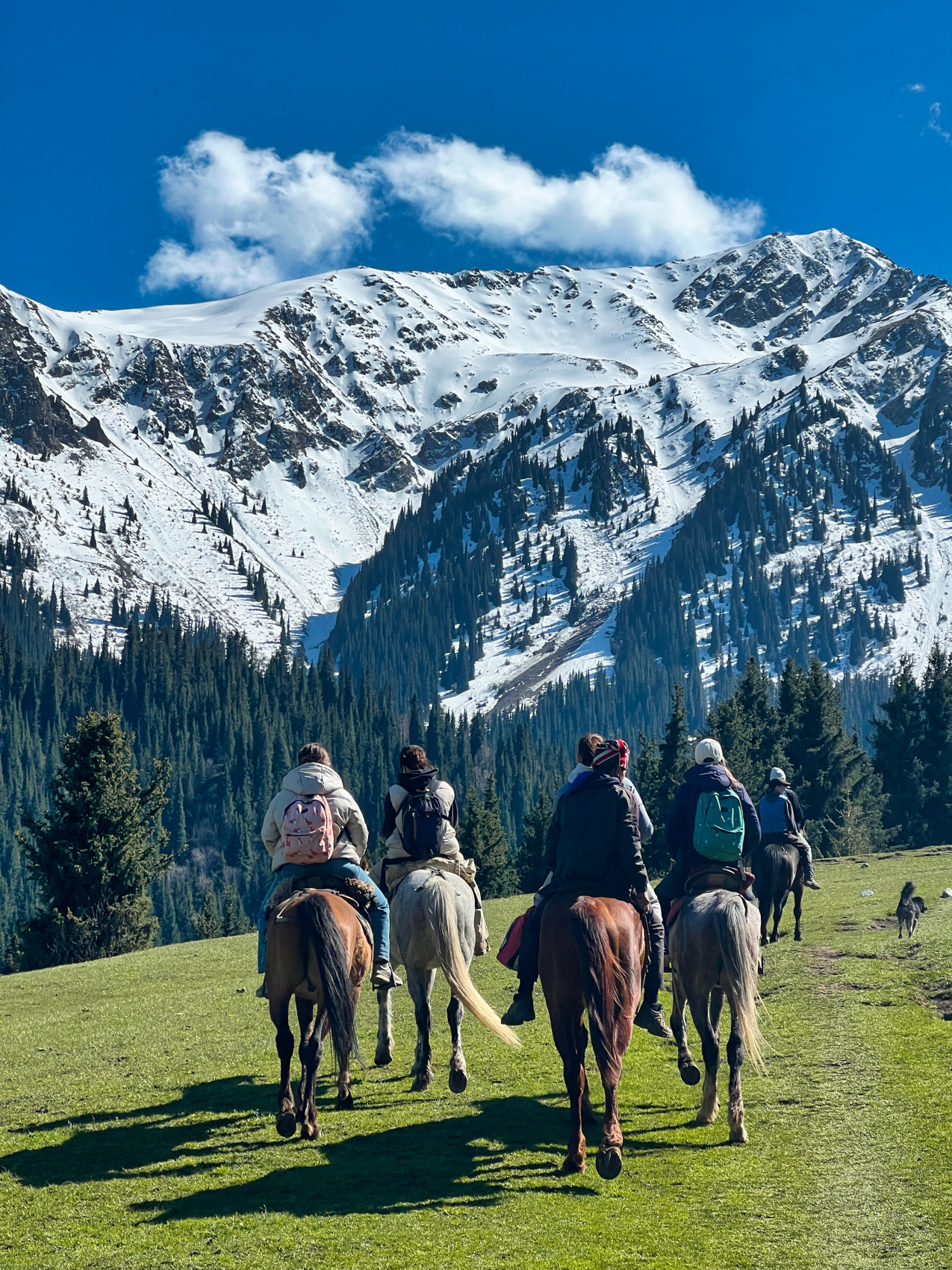 Киргизия на «All Inclusive»: небесные горы и озеро Иссык-Куль  (49/117)