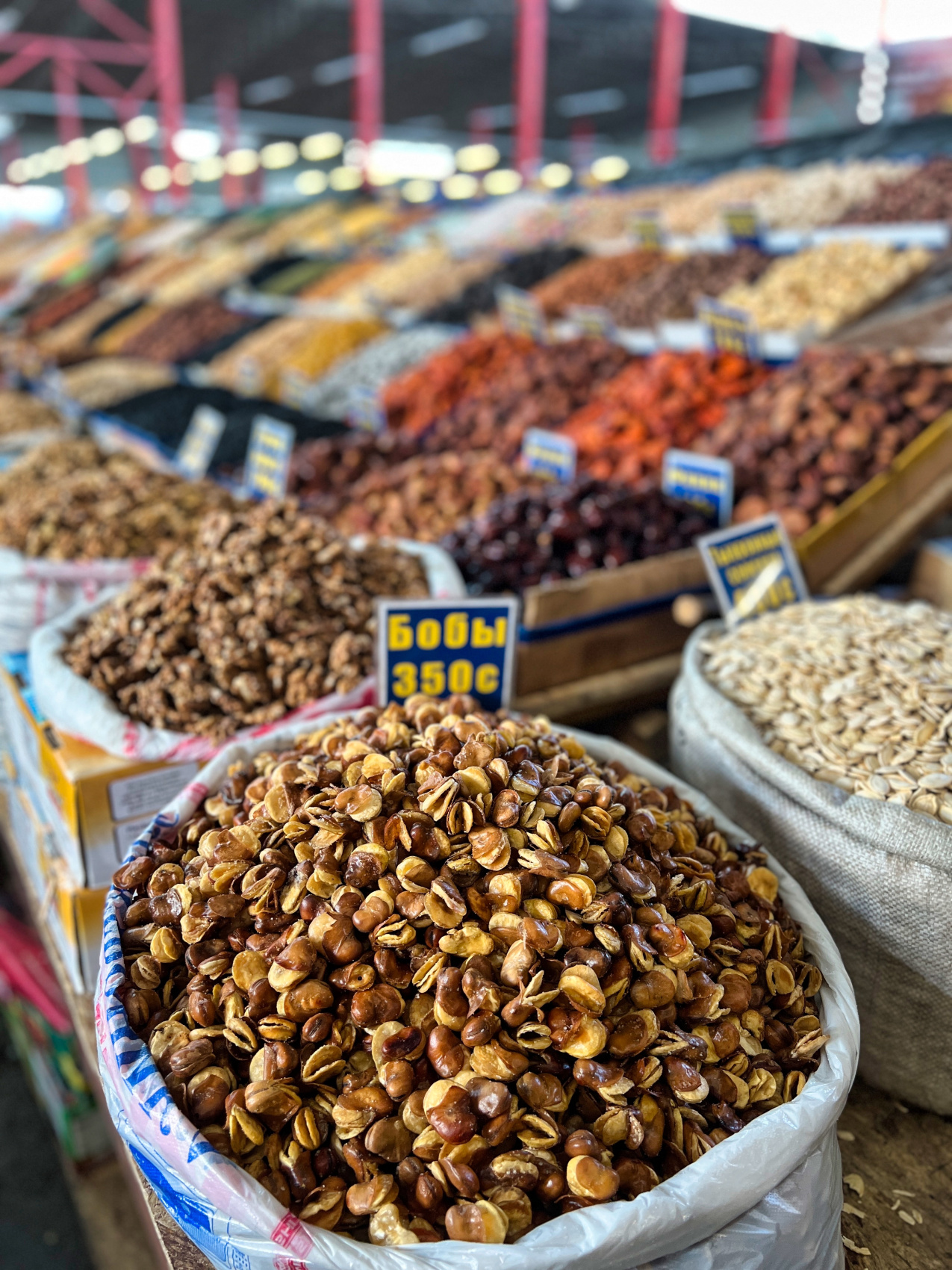 Киргизия на «All Inclusive»: небесные горы и озеро Иссык-Куль  (26/117)