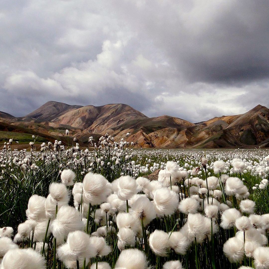 Восточный экспресс: 3 города. Всё Включено! (3/35)