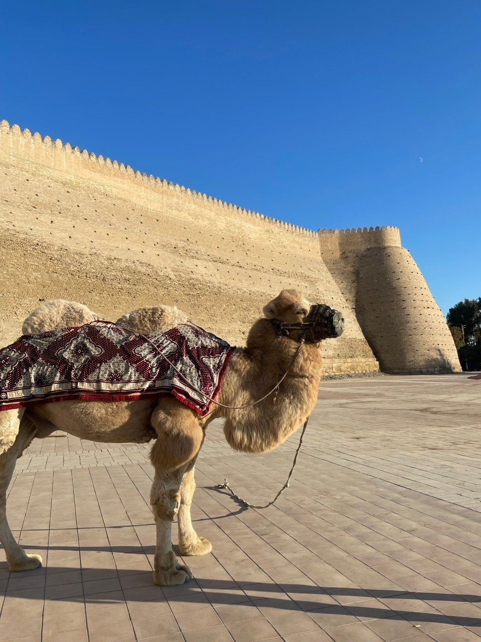 Восточный экспресс: 3 города. Всё Включено! (9/35)