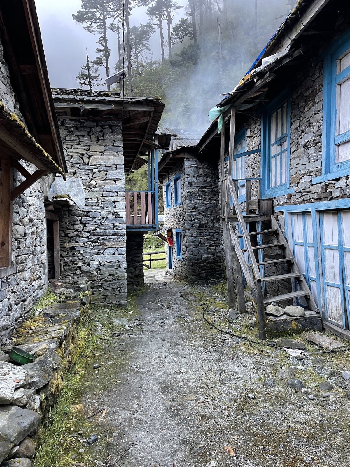 Восхождение на Мера пик (35/43)