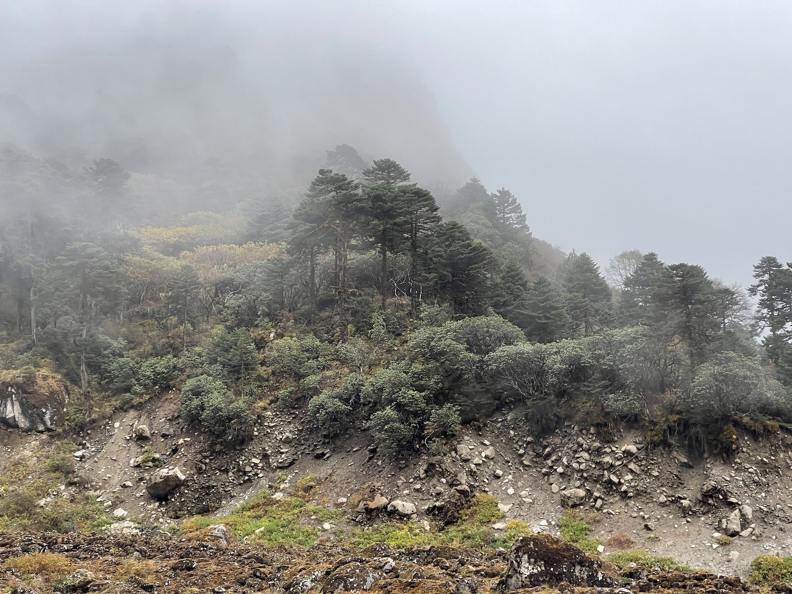 Восхождение на Мера пик (31/43)