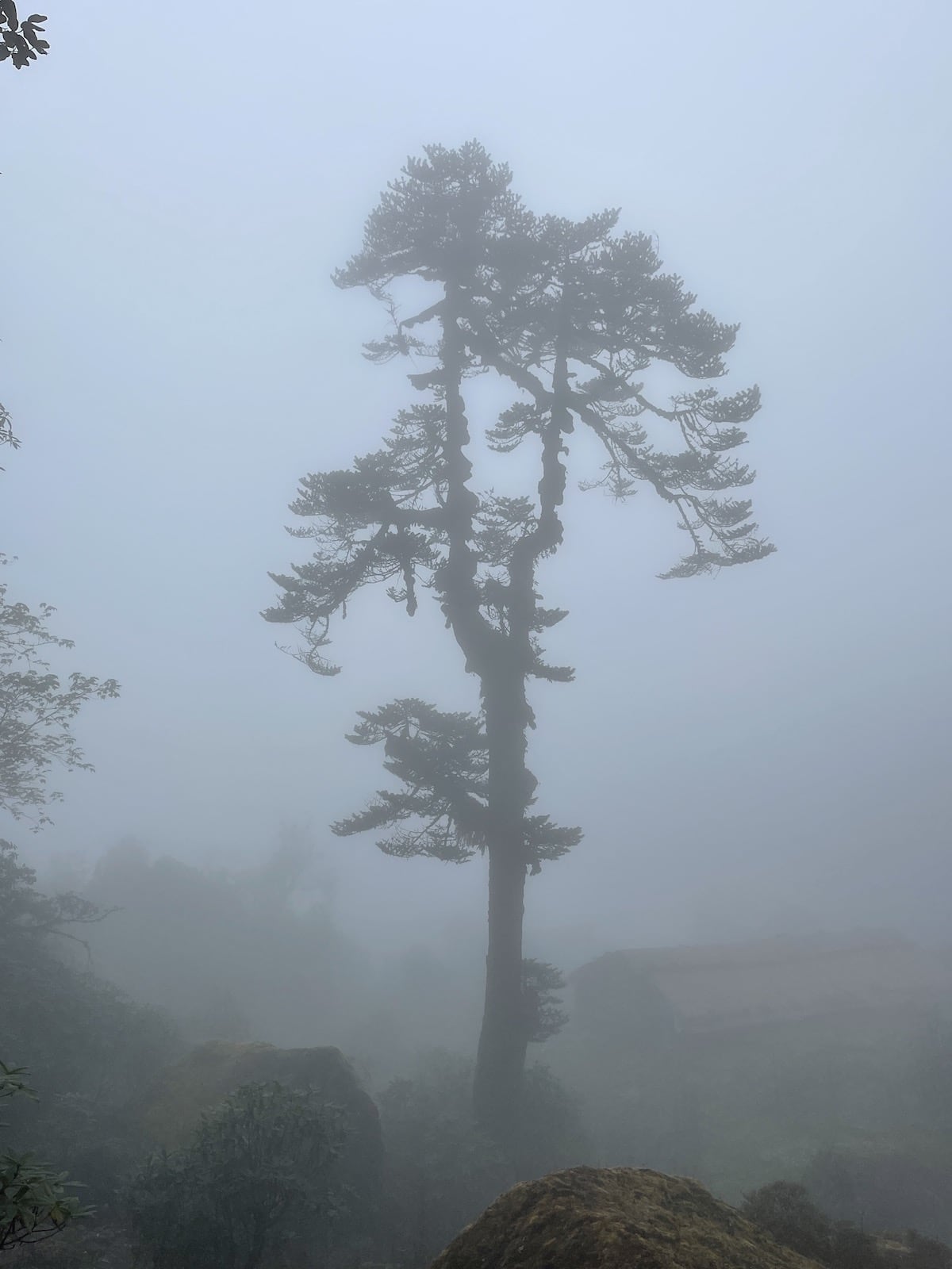 Восхождение на Мера пик (40/43)