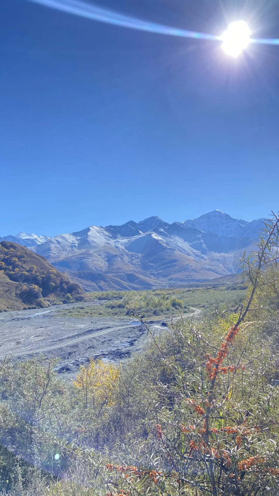 Тур в сердце Осетии. 5 дней. (19/61)