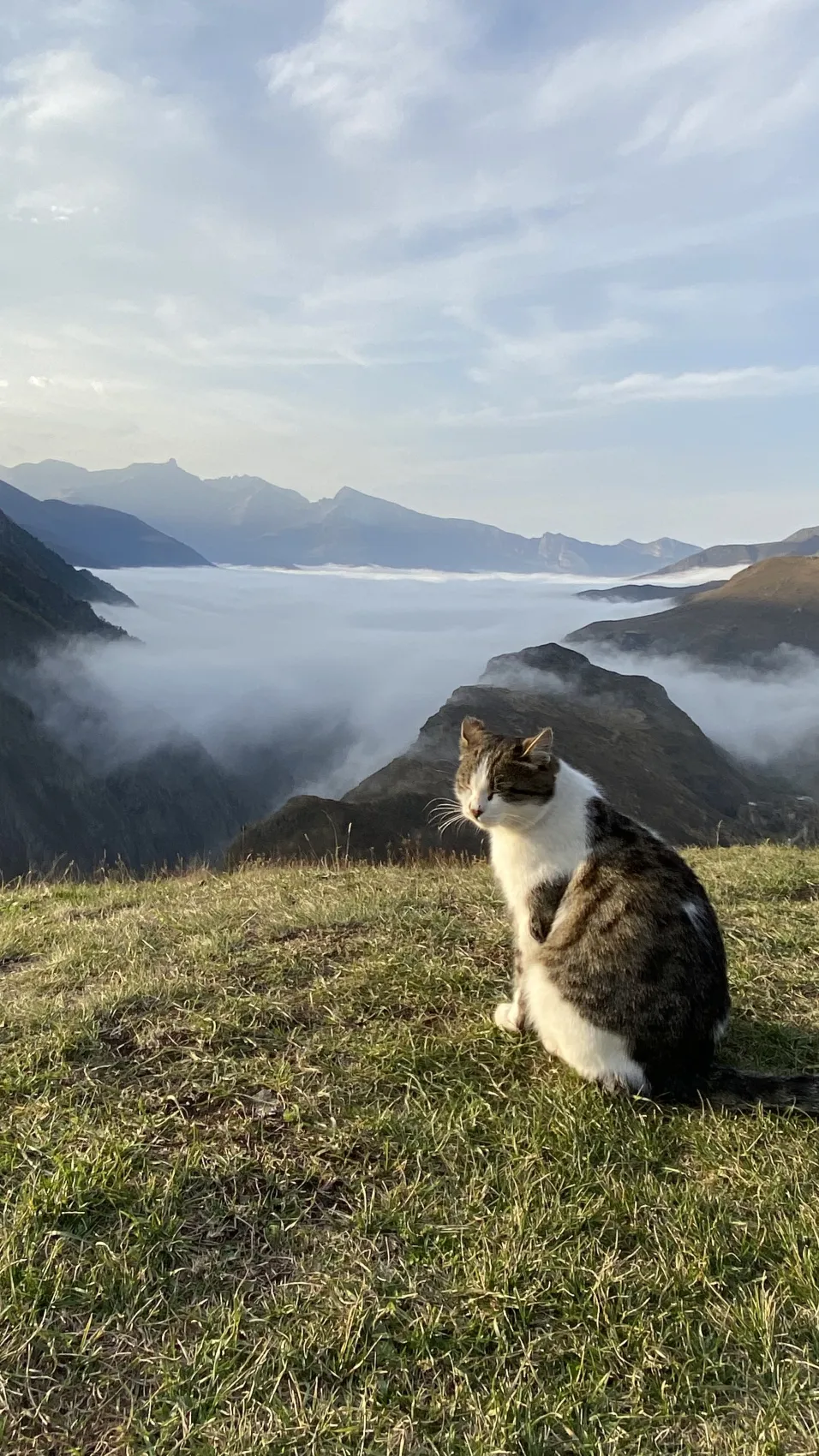 Тур в сердце Осетии. 5 дней. (22/61)