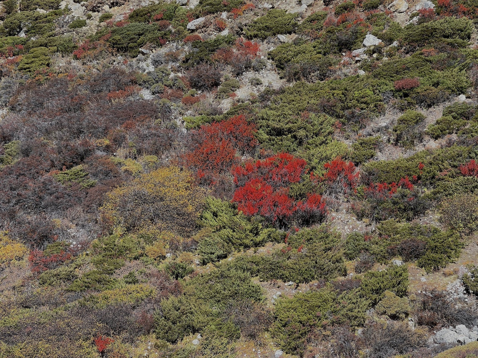 Восхождение на Айленд пик+Мера пик (5/15)