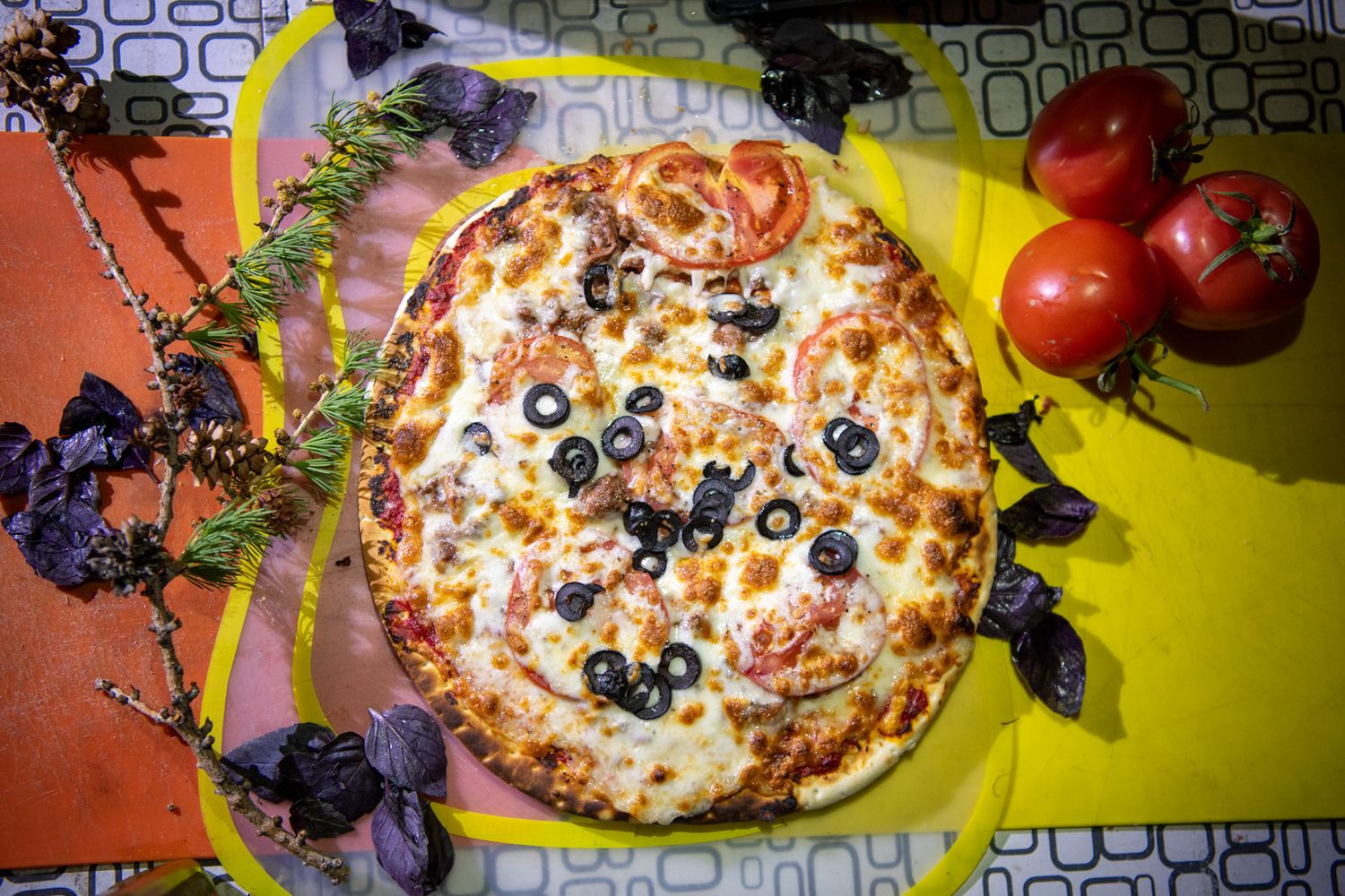 Прогулки по долинам Южно-Чуйского хребта (7/55)