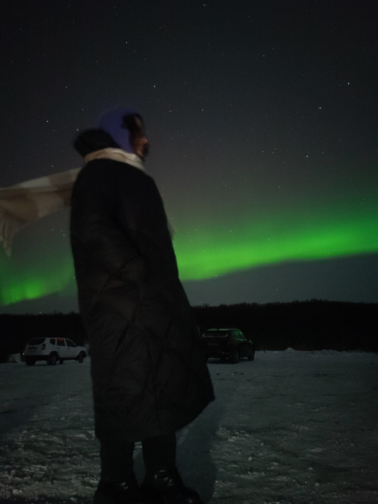 Арктика: северное сияние, норвежские пейзажи, хаски и олени (4/20)