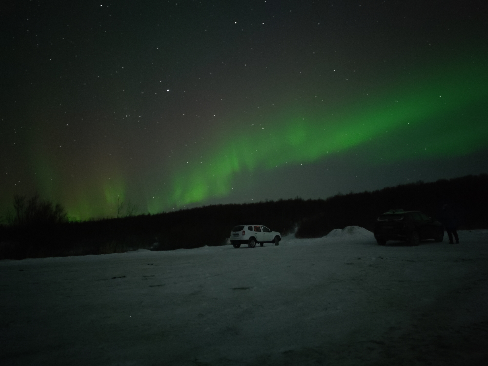 Арктика: северное сияние, норвежские пейзажи, хаски и олени (2/20)