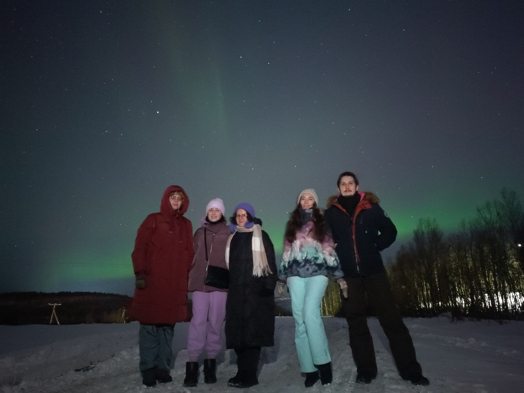 Арктика: северное сияние, норвежские пейзажи, хаски и олени (5/20)