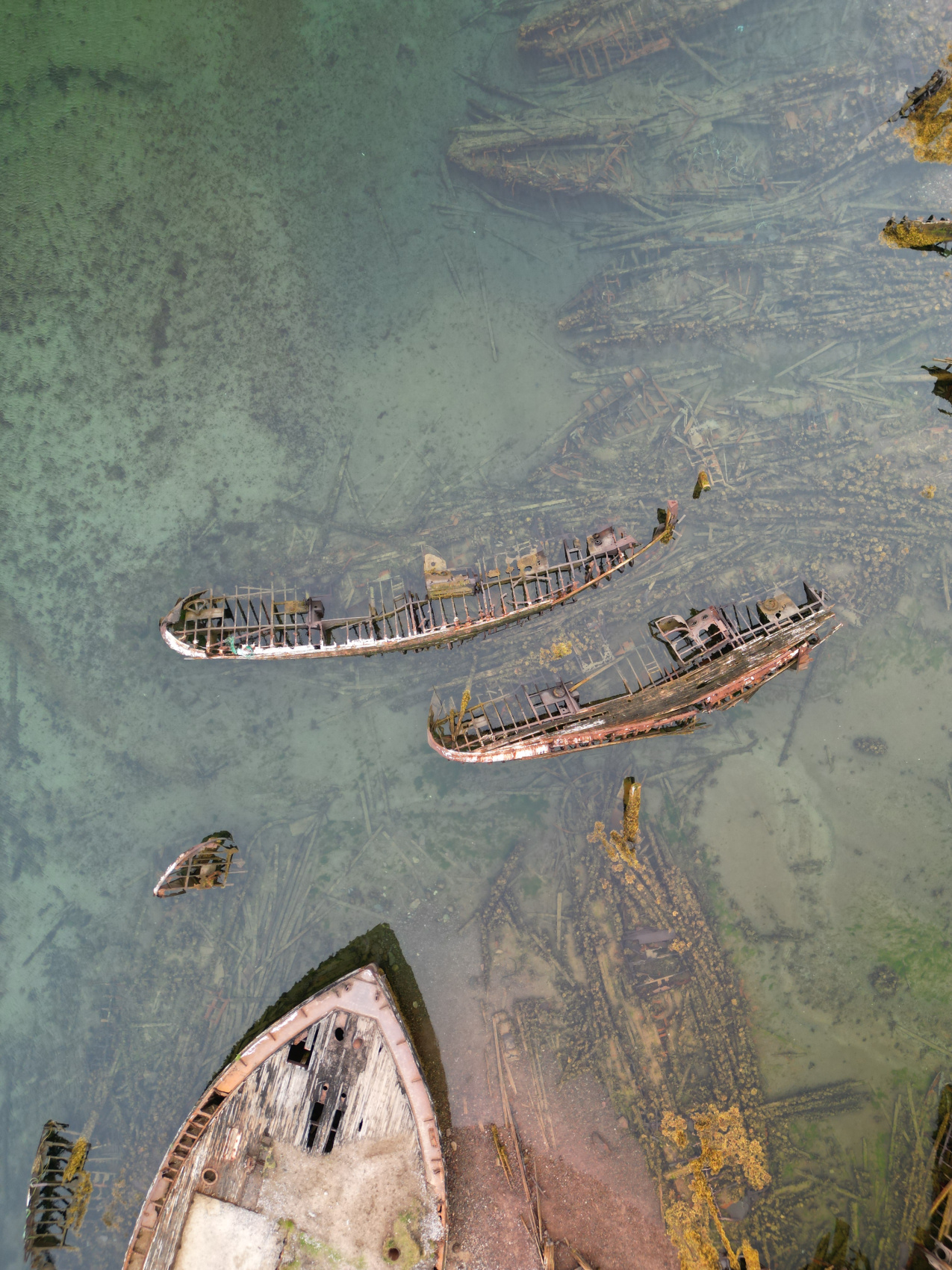 Кольский полуостров: лето за Полярным кругом (9/27)