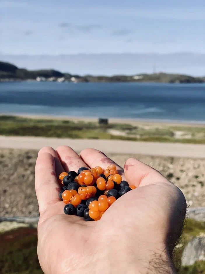 Кольский полуостров: лето за Полярным кругом (2/27)