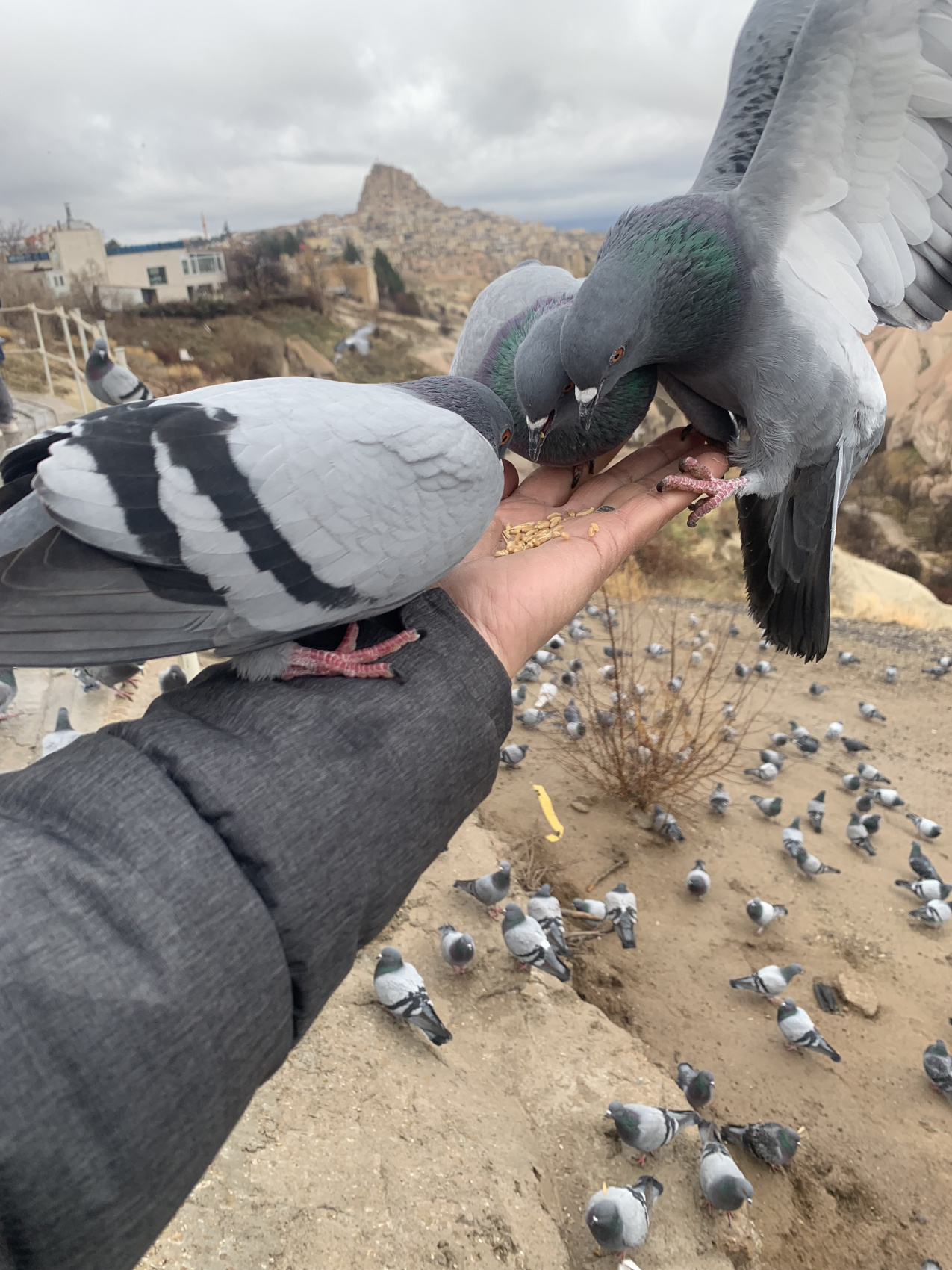 Золотое Кольцо Турции  7 ночей / 8 дней (17/71)