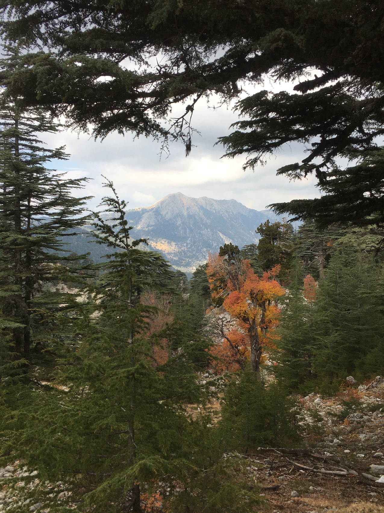 Трекинг по Ликийской тропе с восхождением на г.Тахталы (6/62)