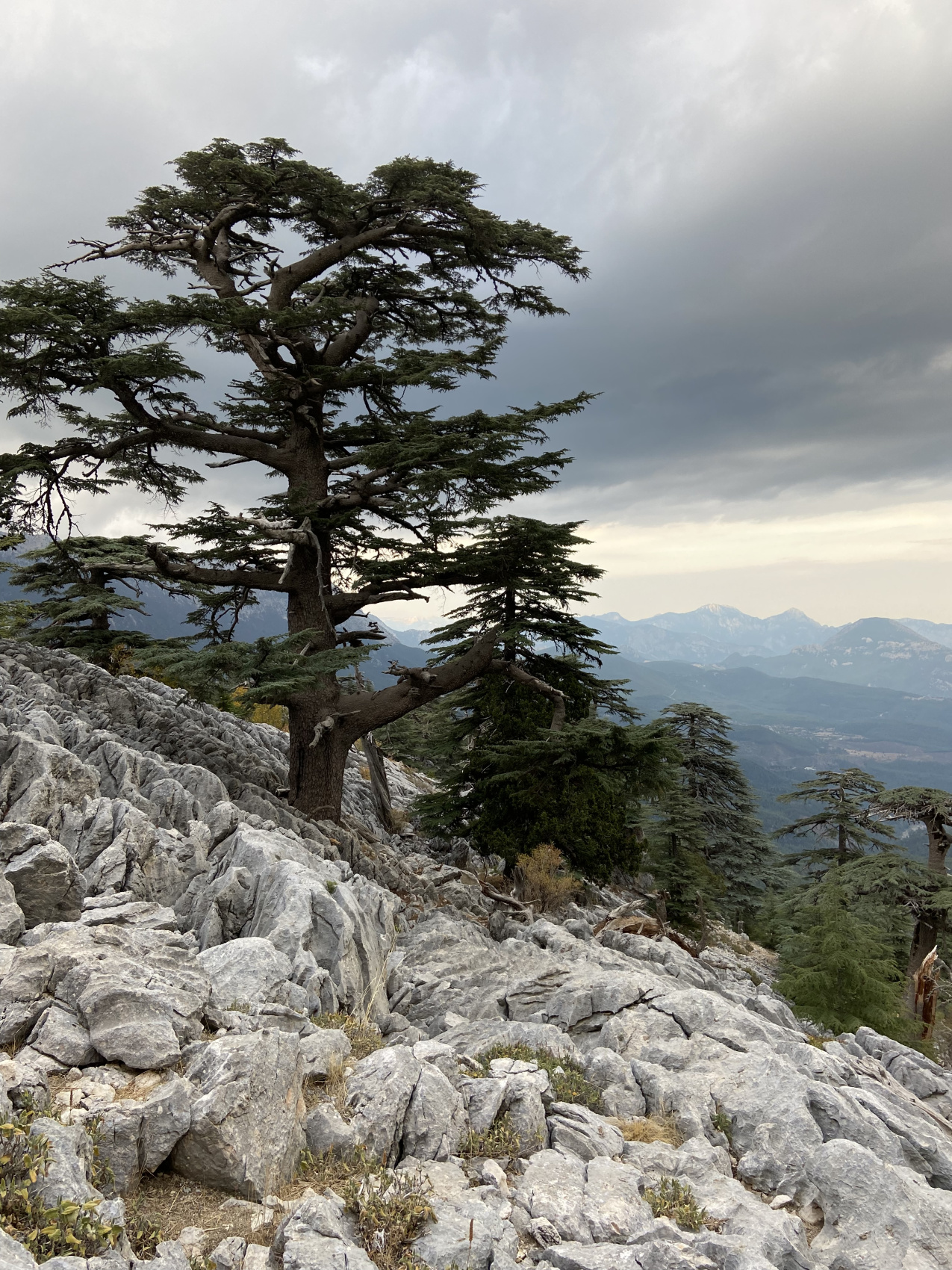 Трекинг по Ликийской тропе с восхождением на г.Тахталы (39/62)