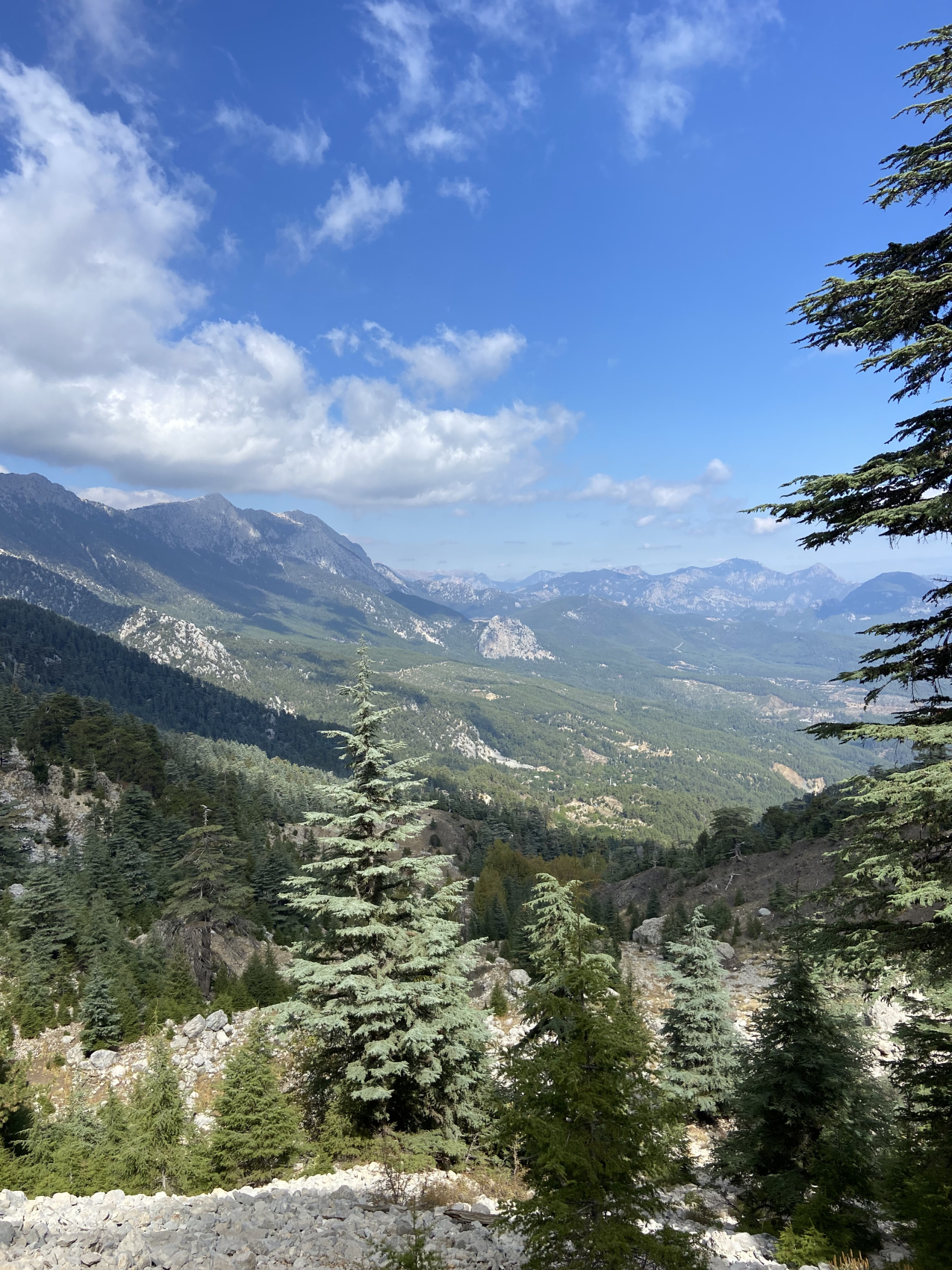 Трекинг по Ликийской тропе с восхождением на г.Тахталы (16/62)