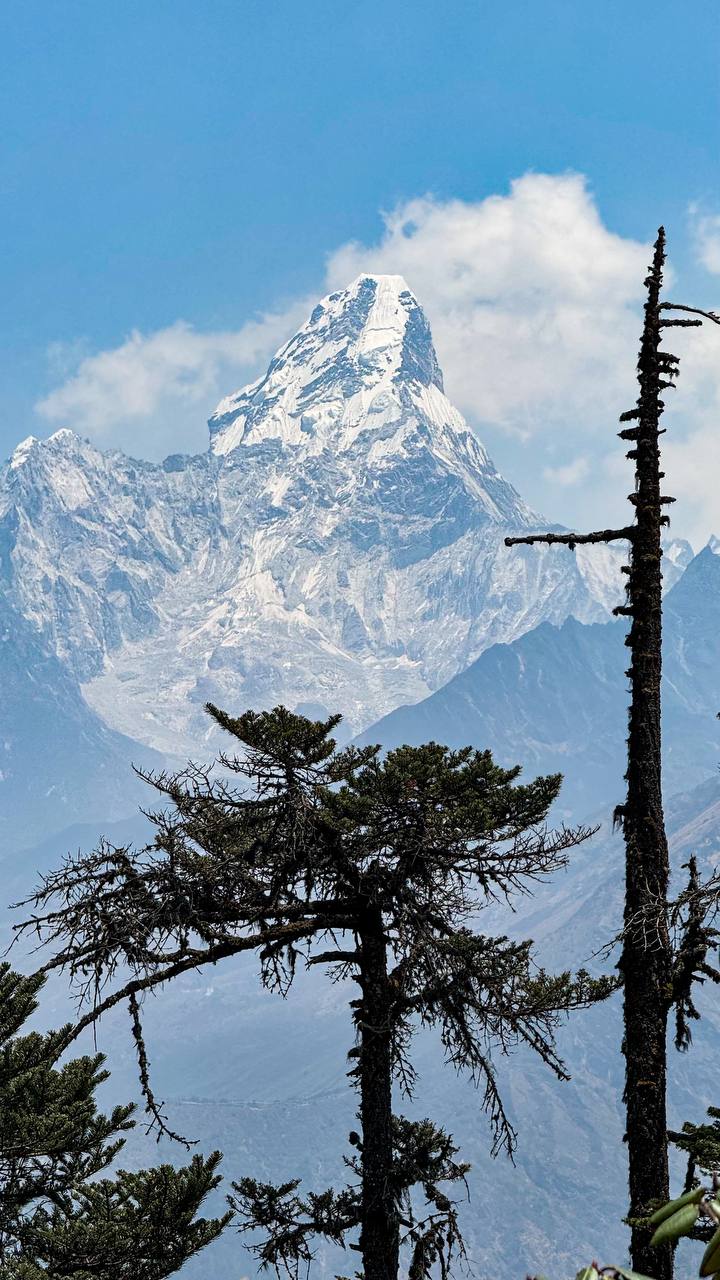 Трек Гокио Ри. Путь к Эвересту + вертолет. Проживание на маршруте в Шале 5 (10/107)