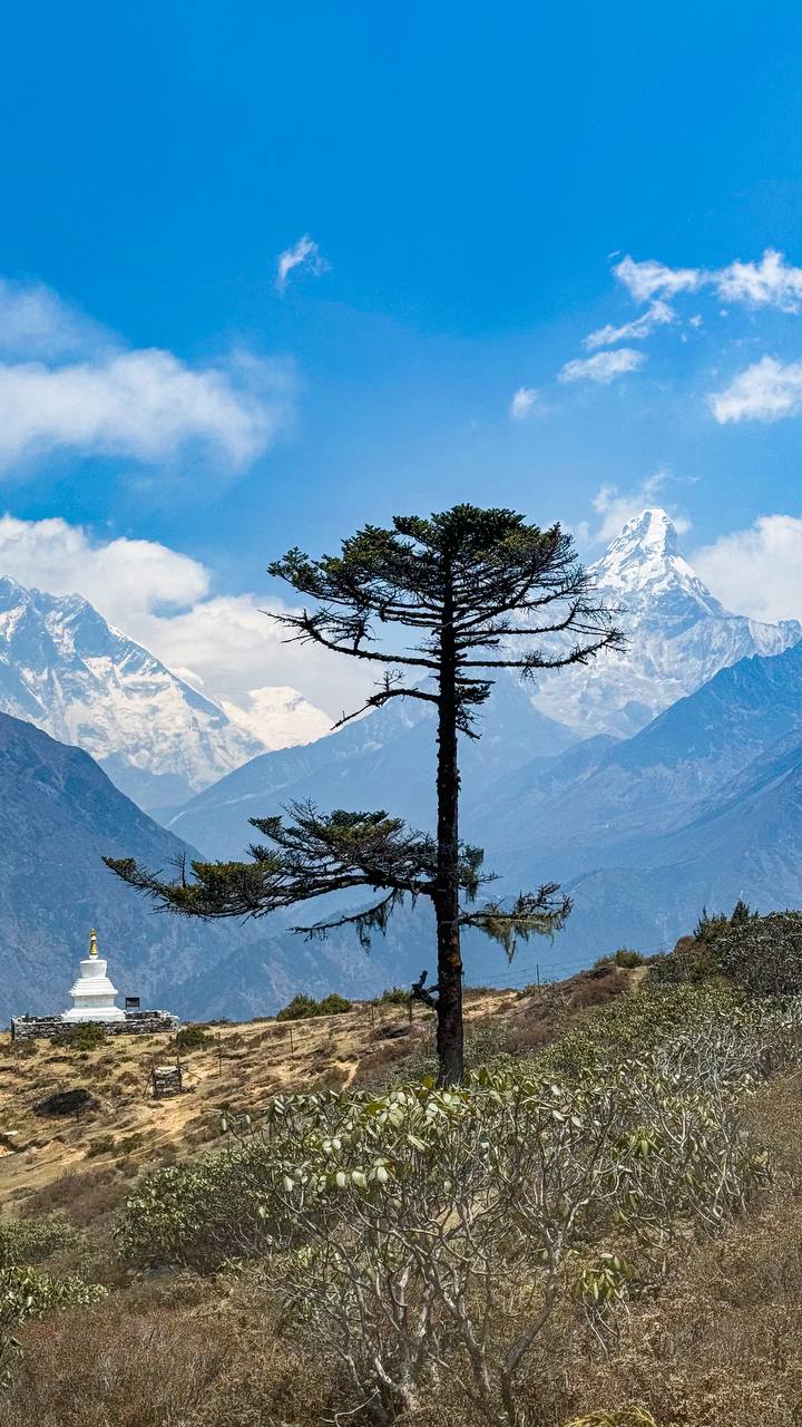 Трек Гокио Ри. Путь к Эвересту + вертолет. Проживание на маршруте в Шале 5 (6/107)
