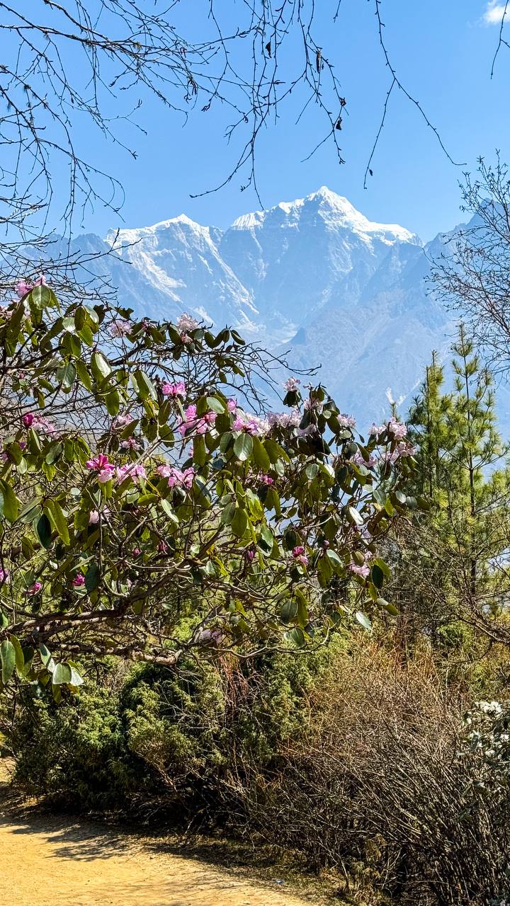 Трек Гокио Ри. Путь к Эвересту + вертолет. Проживание на маршруте в Шале 5 (24/107)