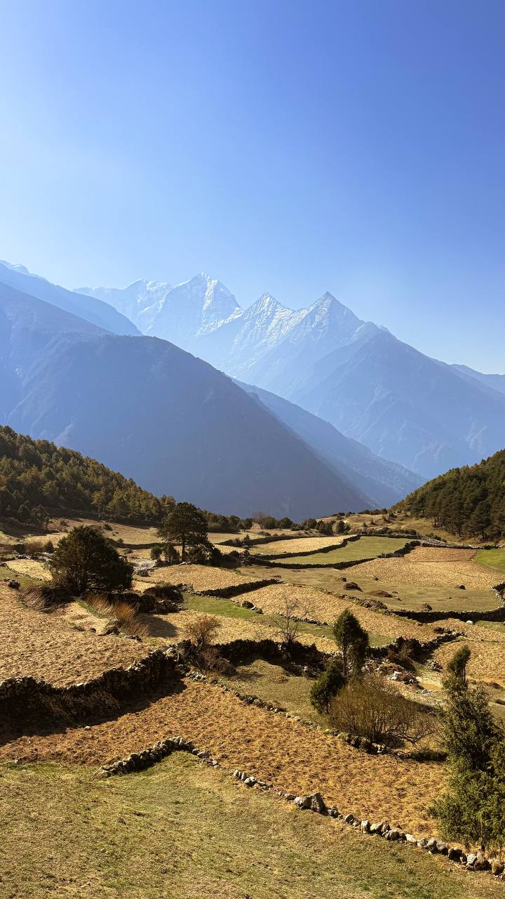 Трек Гокио Ри. Путь к Эвересту + вертолет. Проживание на маршруте в Шале 5 (23/107)