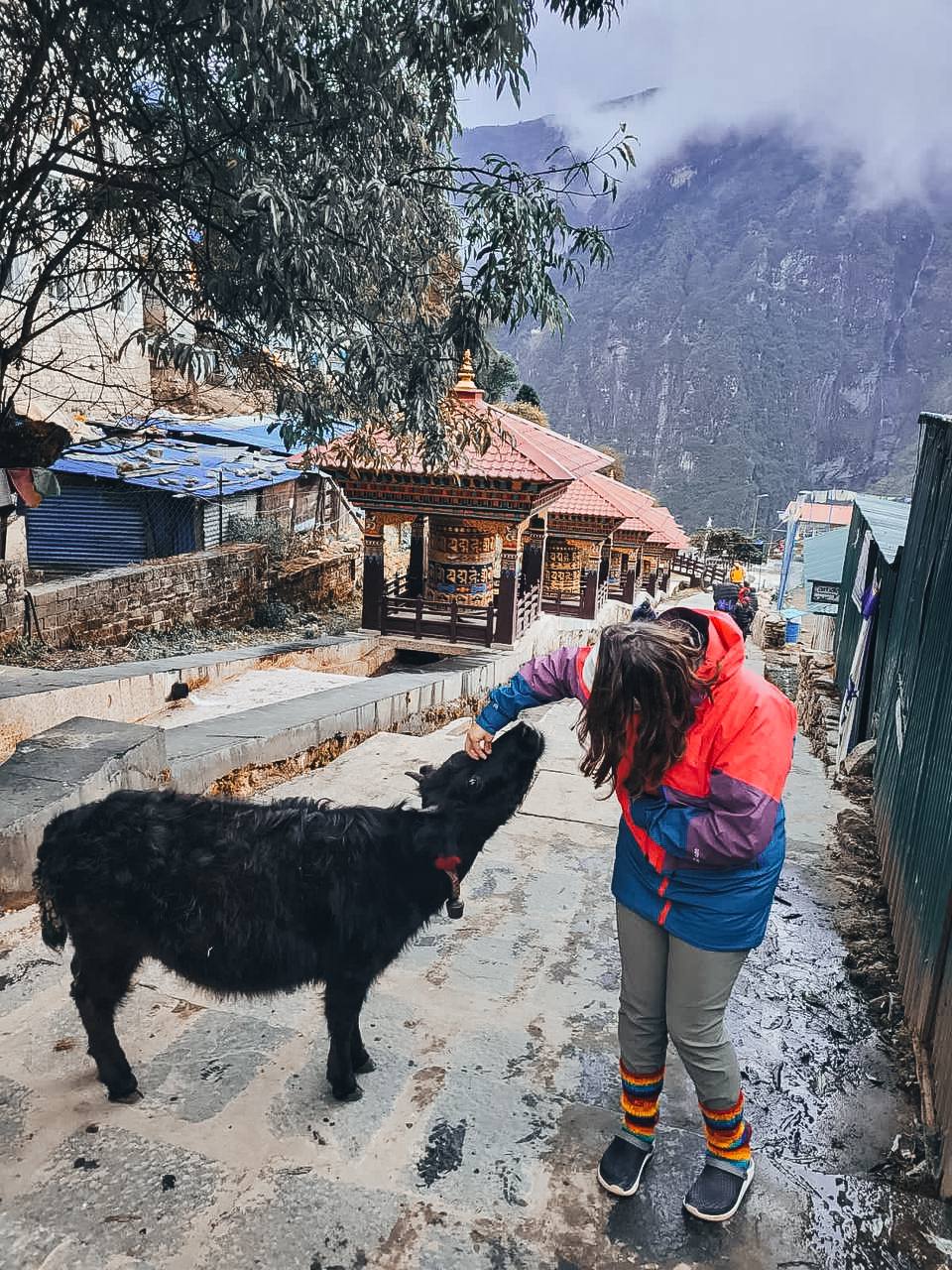 Трек Гокио Ри. Путь к Эвересту + вертолет. Проживание на маршруте в Шале 5 (66/107)