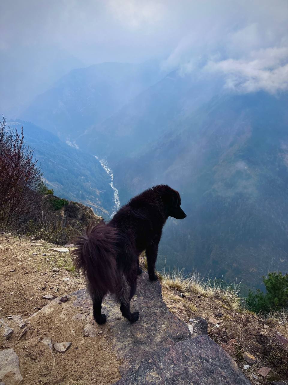 Трек Гокио Ри. Путь к Эвересту + вертолет. Проживание на маршруте в Шале 5 (71/107)