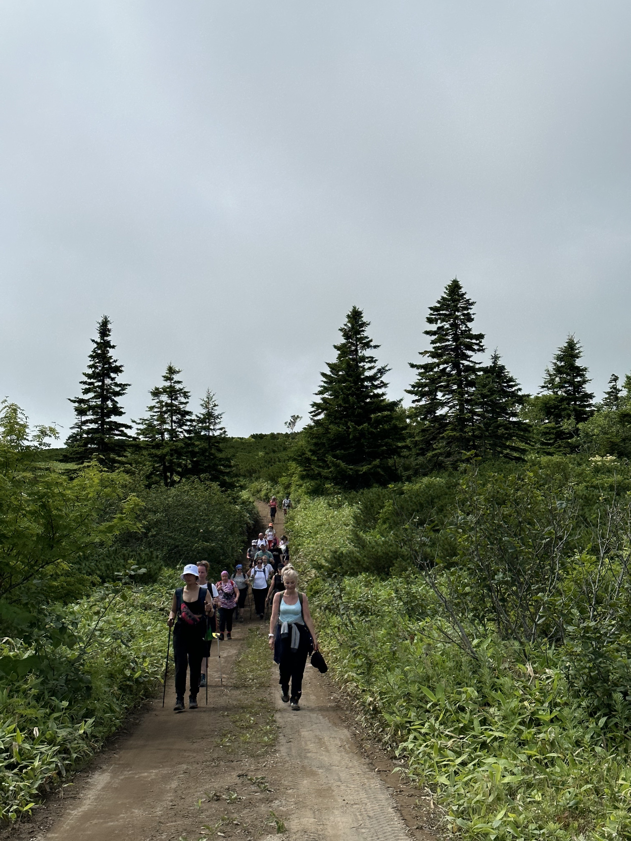 Сахалин и Южные Курилы: Итуруп, Кунашир. 3 острова за одно путешествие (26/79)