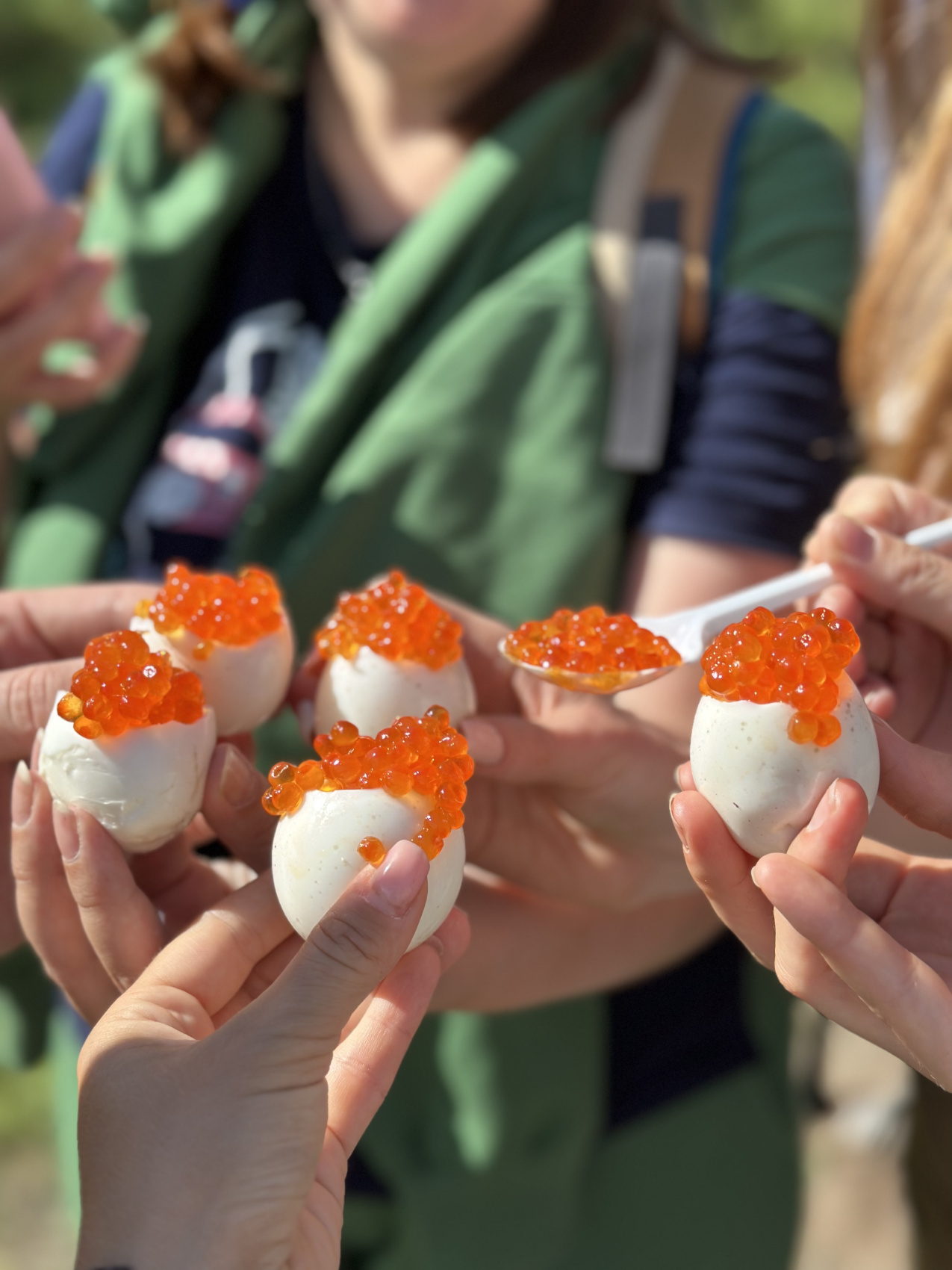 Сахалин и Южные Курилы: Итуруп, Кунашир. 3 острова за одно путешествие (18/79)