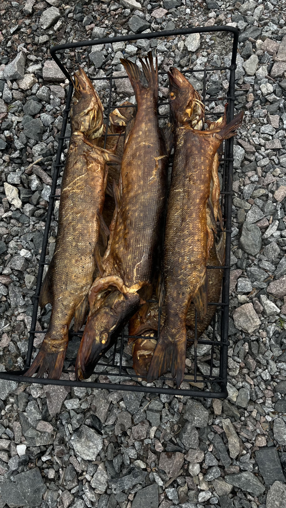 Нетуристическая Карелия и маяки! (9/34)