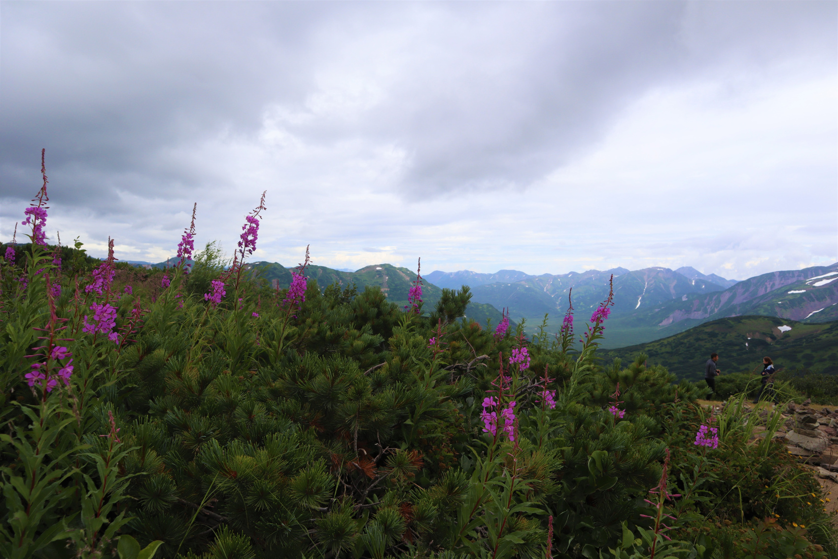  Авачинский перевал с ночевкой: гора Верблюд и восхождение на вулкан (по запросу, для готовых групп)  (11/21)
