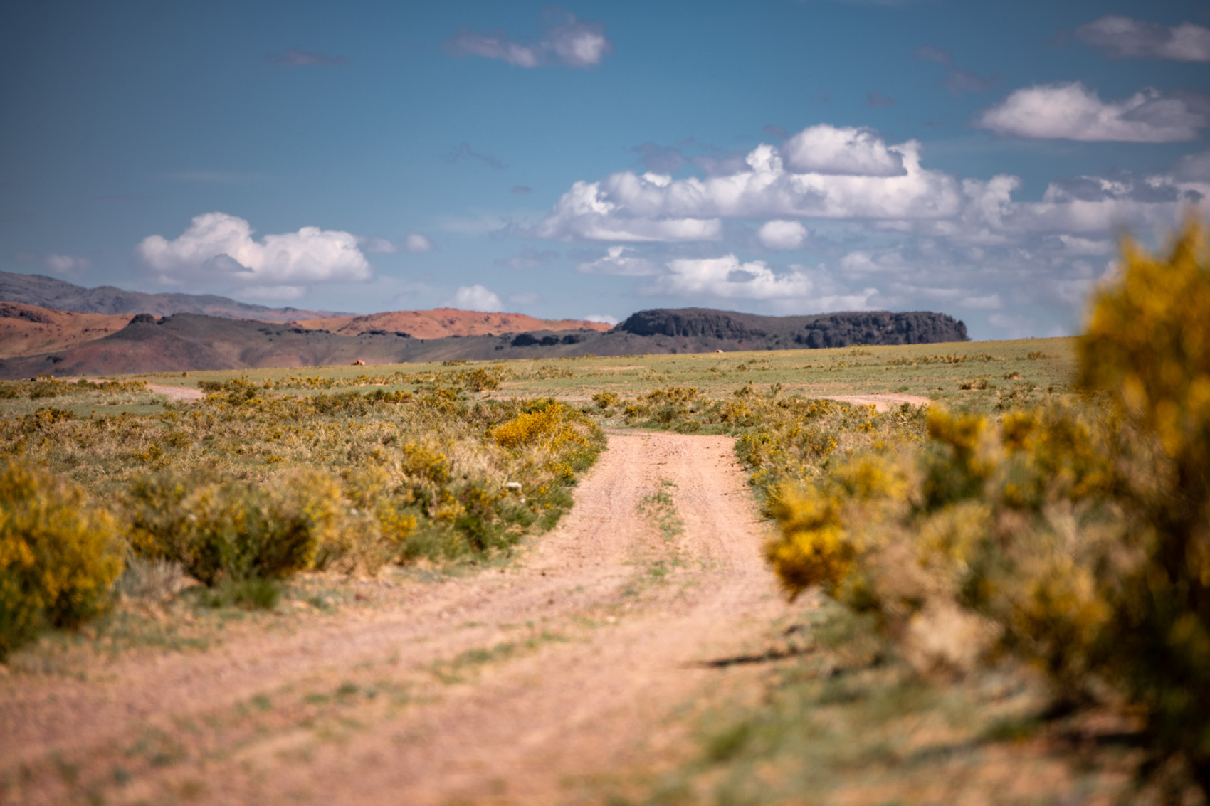 Большая Монголия. Горы, озера и пески (39/116)
