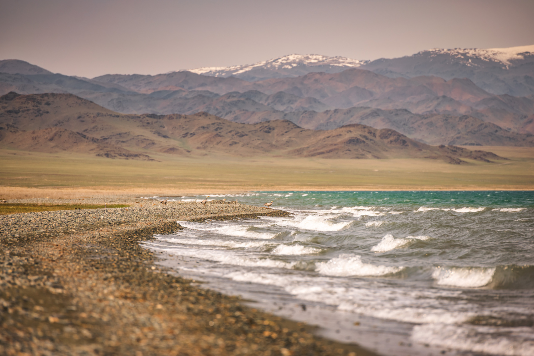 Большая Монголия. Горы, озера и пески (64/116)