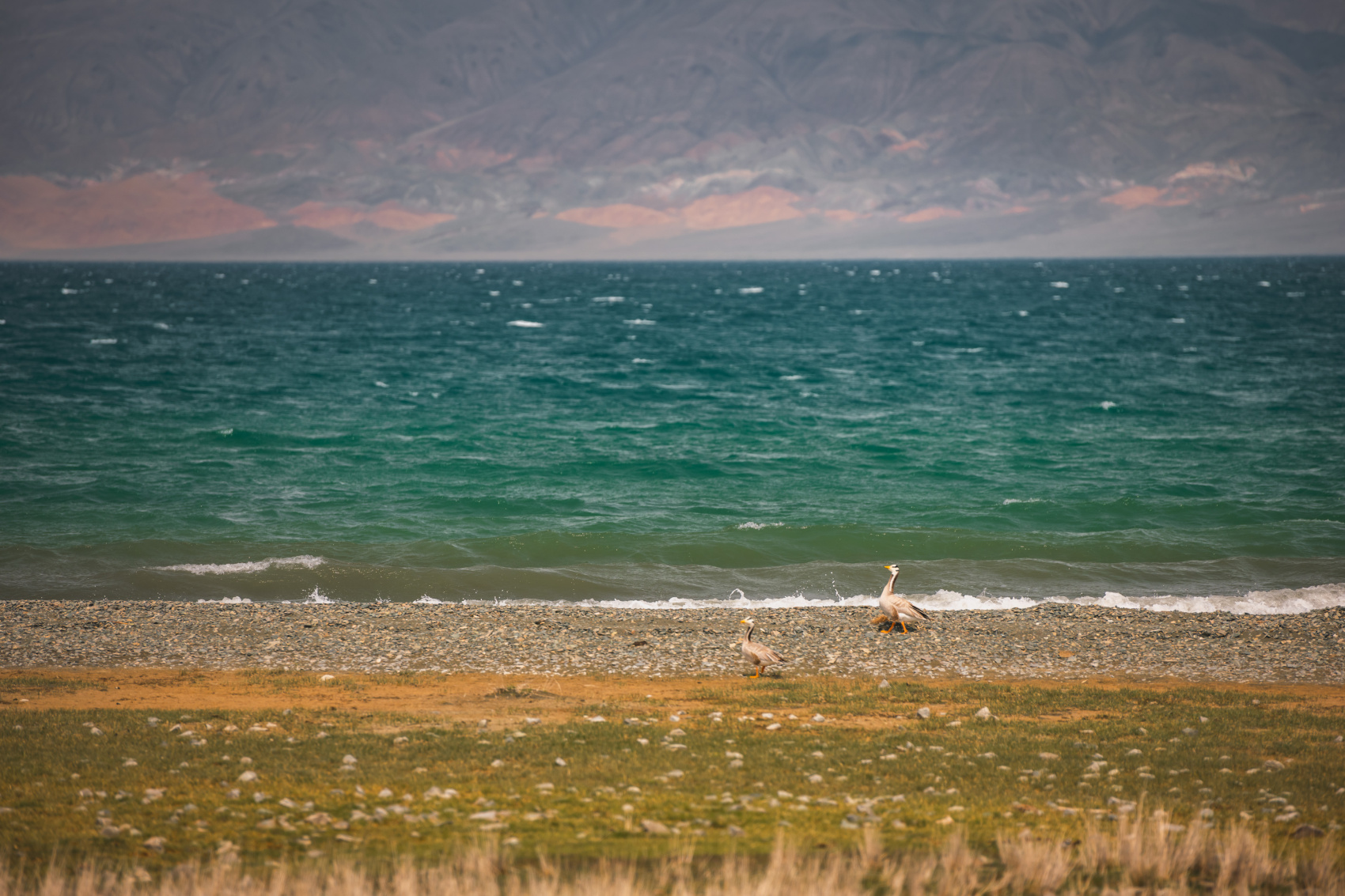 Большая Монголия. Горы, озера и пески (63/116)