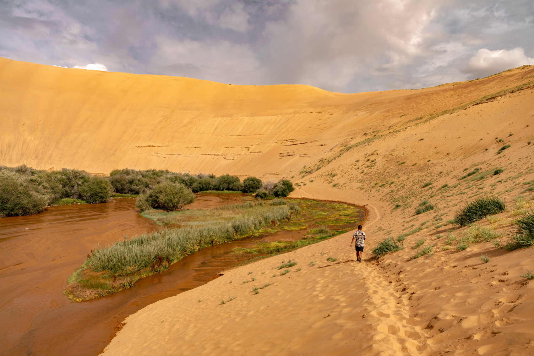 Большая Монголия. Горы, озера и пески (19/116)