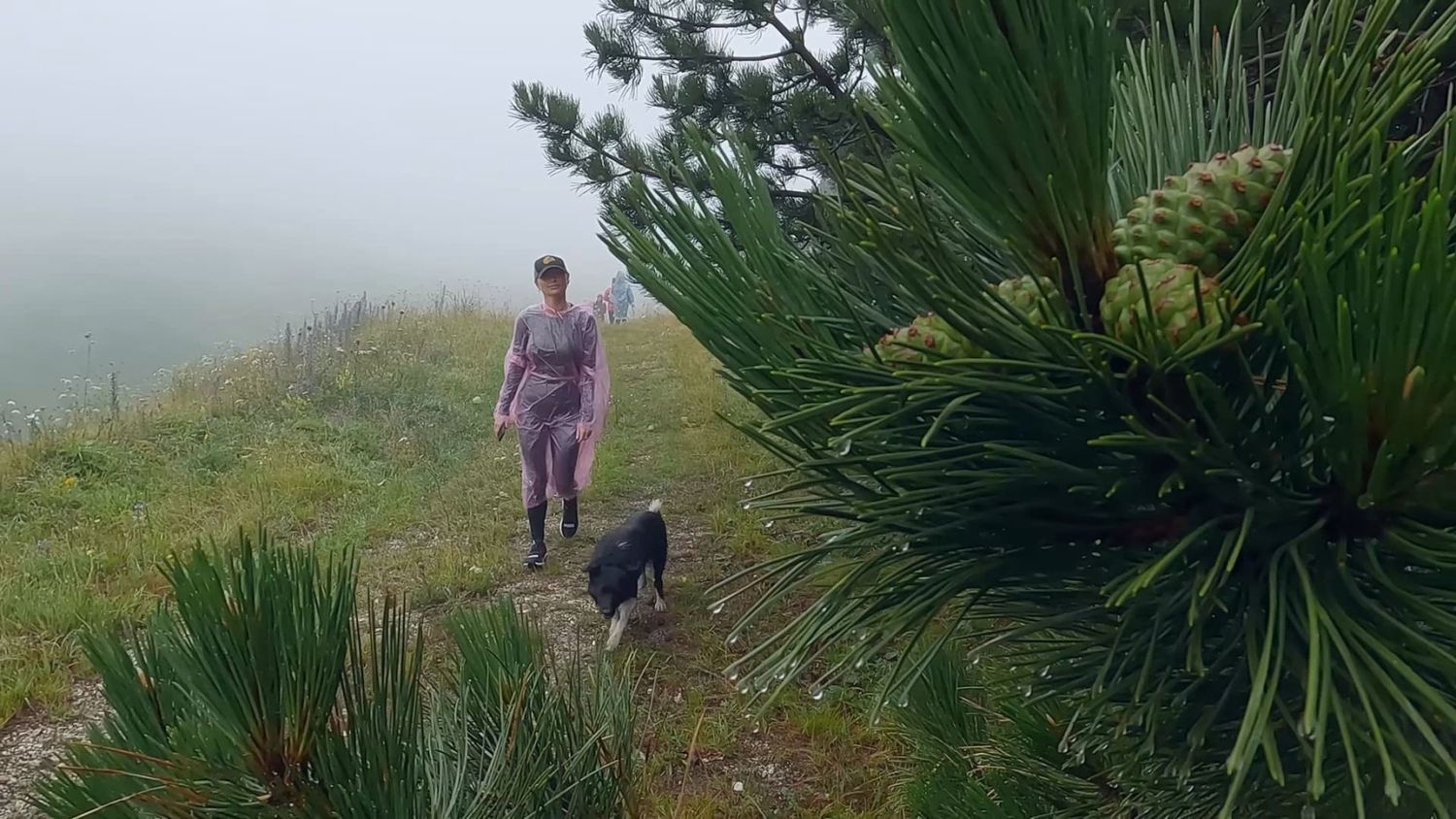 Фитнес-тур Вершины Кавказа  7 дней  Всё включено (18/105)