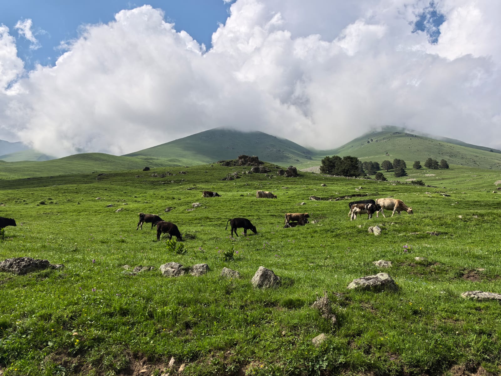 Домбай во всей красе! Тур, который влюбляет в горы! (17/80)