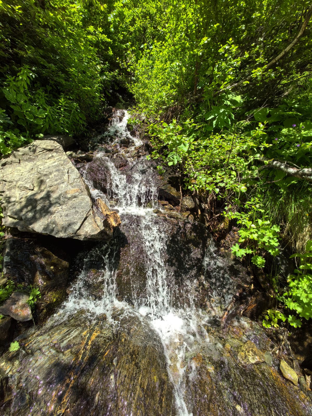 Красивый Домбай для влюбленных в горы! (35/62)