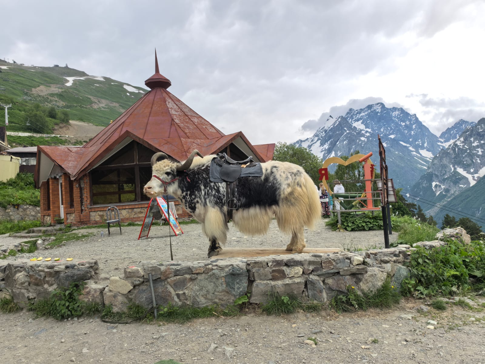 Домбай во всей красе! Тур, который влюбляет в горы! (15/80)