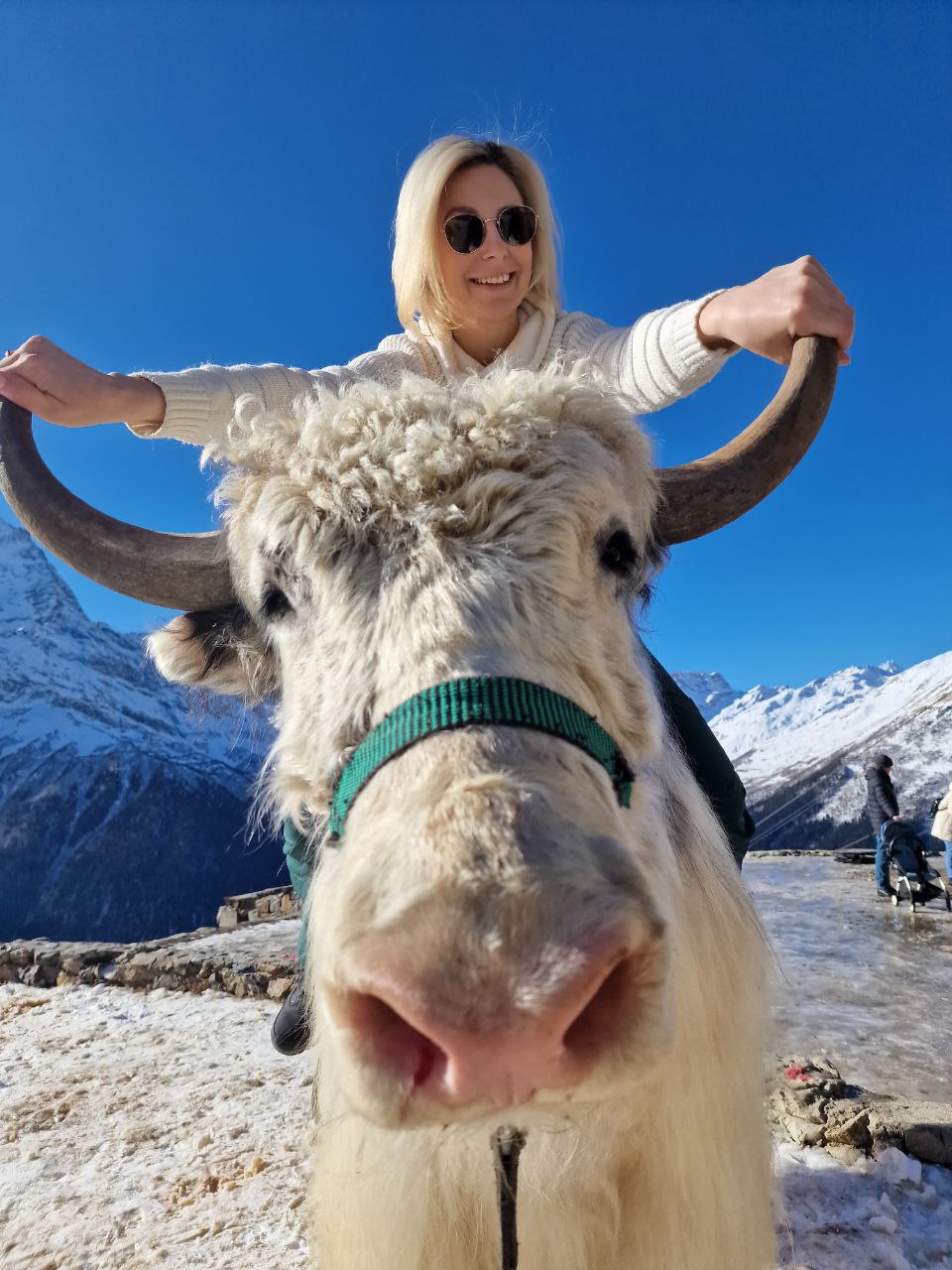 Домбай во всей красе! Тур, который влюбляет в горы! (8/80)