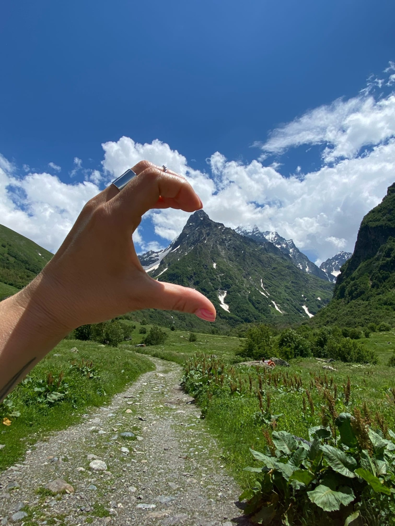 Домбай во всей красе! Тур, который влюбляет в горы! (5/80)